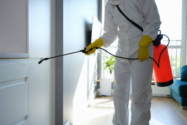 Best Home Mold Removal  in Thomasville, NC