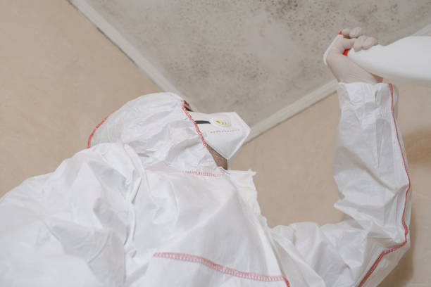 Best Fast Mold Removal  in Thomasville, NC