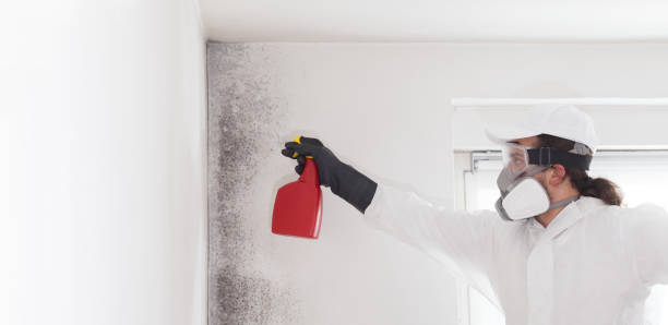 Best Commercial Mold Removal  in Thomasville, NC